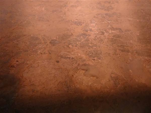 Lark Quarry Dinosaur Trackways (24/07/2015 - Credits: Neil McGregor)