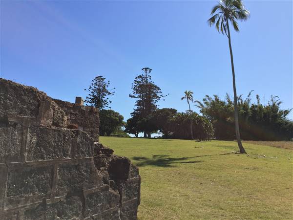 St Helena Island National Park - Exercise Yards & Ruins (23/09/2015 - Credits: Neil McGregor)