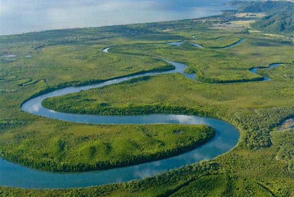 Daintree River (16/11/2015)