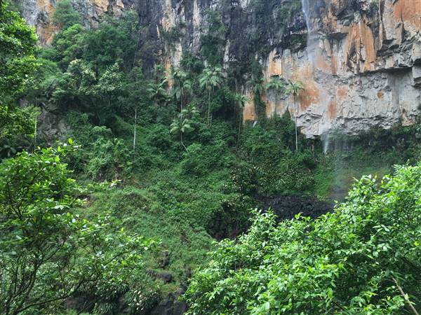 Purling Brook Falls - Springbrook National Park (10/12/2015 - Credits: Neil McGregor)