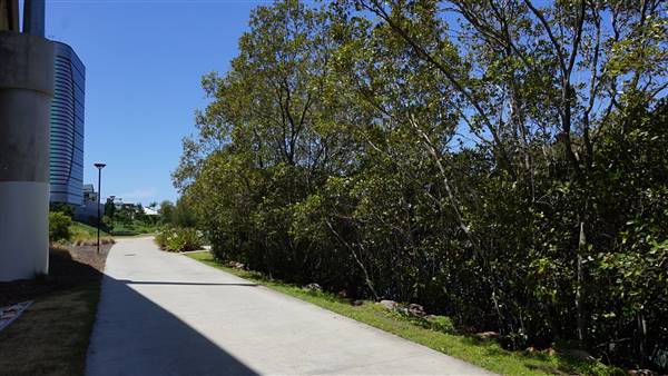 Mann Park - Freeway Cloverleaf (25/10/2016 - Credits: Neil McGregor)