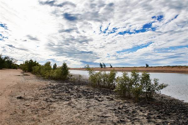 Townsville Region - Toomulla Beach (25/11/2016 - Credits: John De Rooy)