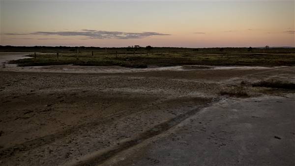 Geoff Skinner Wetlands (20/04/2017 - Credits: Neil McGregor)