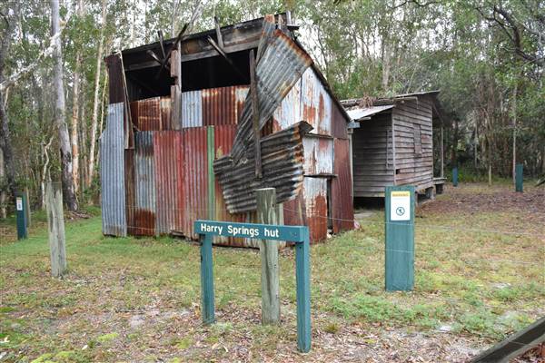 Harrys Hut Area (Noosa Everglades) (7/07/2017 - Credits: Kathryn Metcalfe)