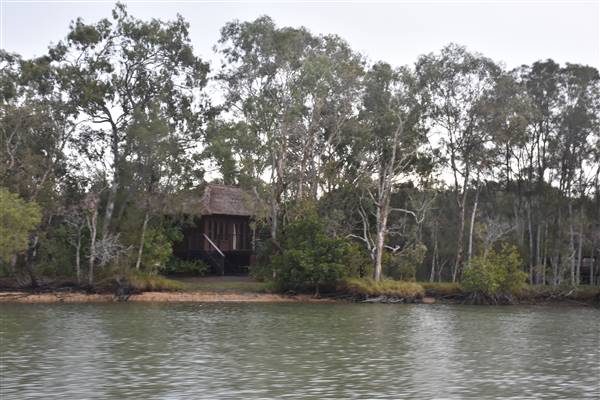 Noosa Everglades - Makepeace Island (13/07/2017 - Credits: Kathryn Metcalfe)