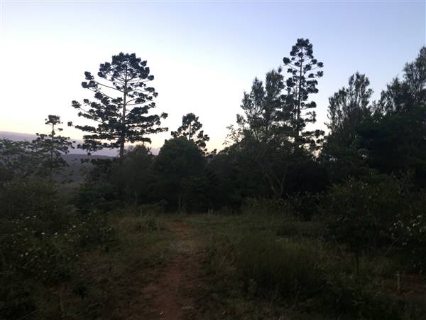 Castle Mountain Acreage (17/10/2017 - Credits: Andrew Bird)