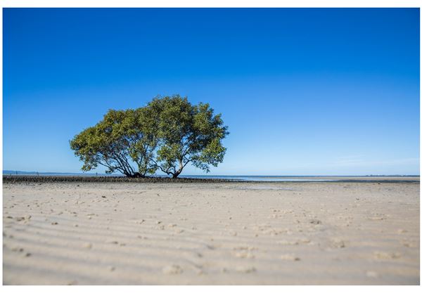 Beachmere Foreshore (1/12/2017 - Credits: Moreton Bay Region Industry and Tourism)