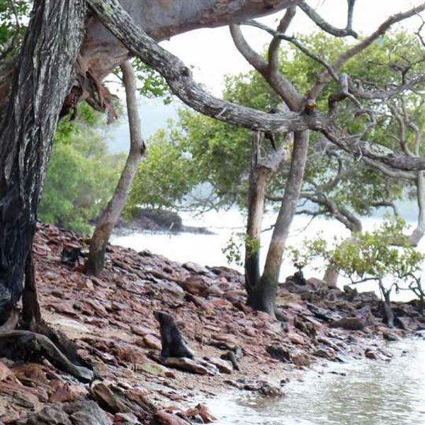 Macleay Island (9/07/2018 - Credits: unknown)