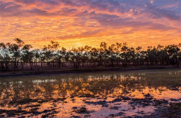 Georgina River (4/12/2018 - Credits: unknown)