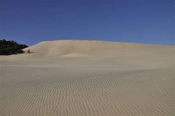 Mulgumpin (Moreton Island) - Big Sand Hills (11/04/2015 - Credits: Angus Ledgerwood)