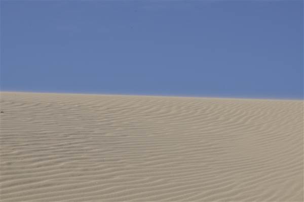 Mulgumpin (Moreton Island) - Big Sand Hills (11/04/2015 - Credits: Angus Ledgerwood)