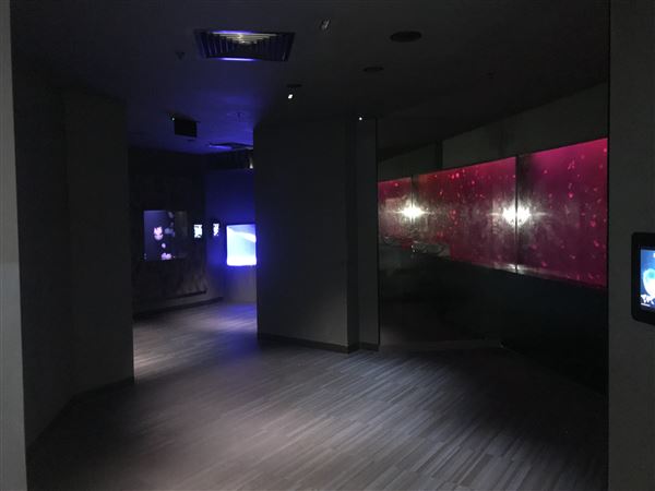 Sea Jelly Exhibit & Research Laboratory - Sea World Gold Coast (11/03/2019 - Credits: unknown)