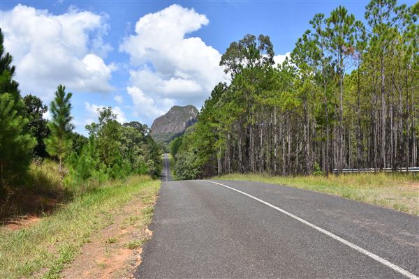 Marshs Road - Mt Tibrogargan (b/g) (15/03/2019 - Credits: Kathryn Metcalfe)