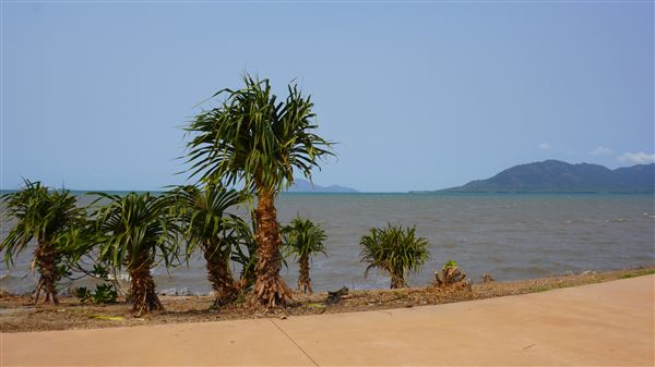 Cardwell - Coastline & Jetty (21/11/2019 - Credits: © Karen Jones)