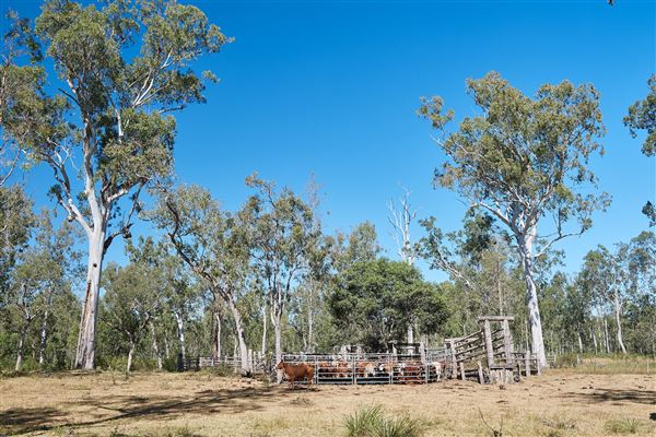 Goshen Station (4/06/2018 - Credits: John de Rooy, Atherton Tableland Photography)