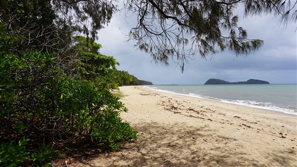 Pullman Palm Cove Sea Temple Resort & Spa (19/12/2019 - Credits: Karen Jones)