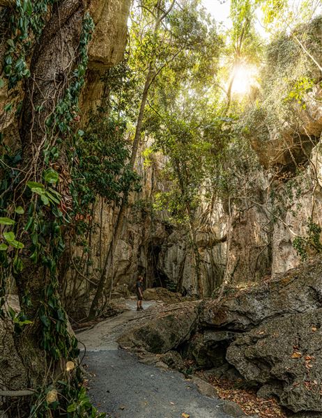 Capricorn Caves (1/07/2020 - Credits: Capricorn Caves)