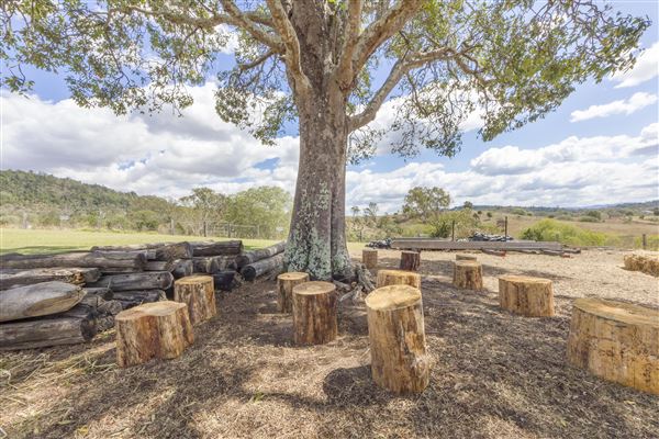 The Llama Farm (29/09/2020 - Credits: Ipswich City Council)