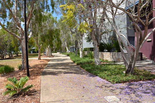 University of Southern Queensland / Springfield Campus - Exteriors (26/10/2020 - Credits: Kathryn Metcalfe)