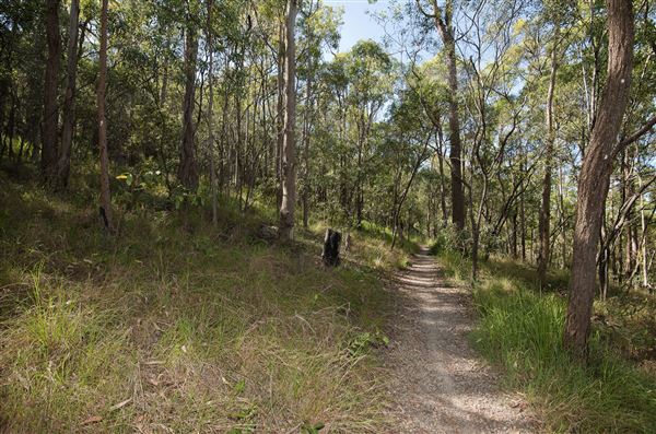 Toohey Forest Park (incl. Mount Gravatt Outlook Reserve) - Overview - Image Sourced - Do Not Make Public (10/12/2020)