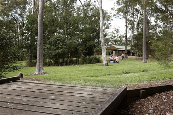 Mt Coot-tha Forest - Overview - Image Sourced - Do Not Make Public (14/12/2020)