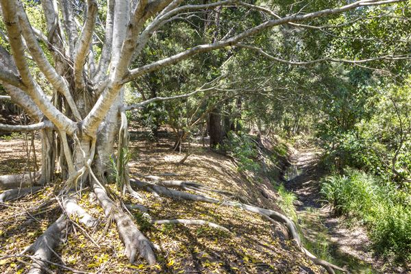North Ipswich Wetlands Park (5/01/2021 - Credits: Ipswich City Council)