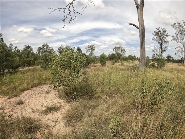 Willowbank MX (8/03/2021 - Credits: Ipswich City Council)