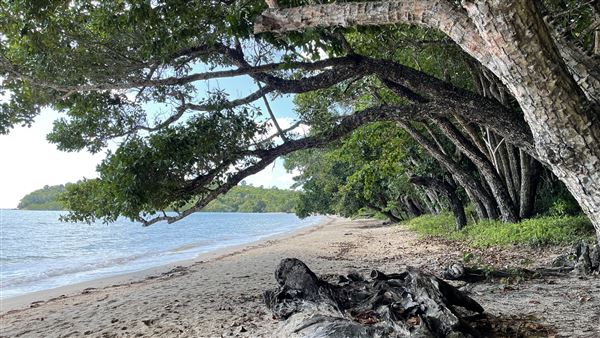 Garners Beach (15/12/2021 - Credits: Courtesy of Karen Jones)