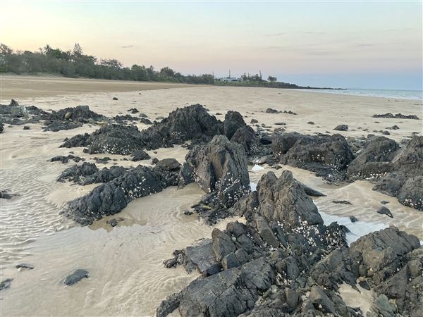 Campwin Beach (South) (26/10/2021 - Credits: Kathryn Metcalfe)