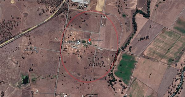 Summer Land Camel Farm (20/10/2021 - Credits: Ipswich City Council)