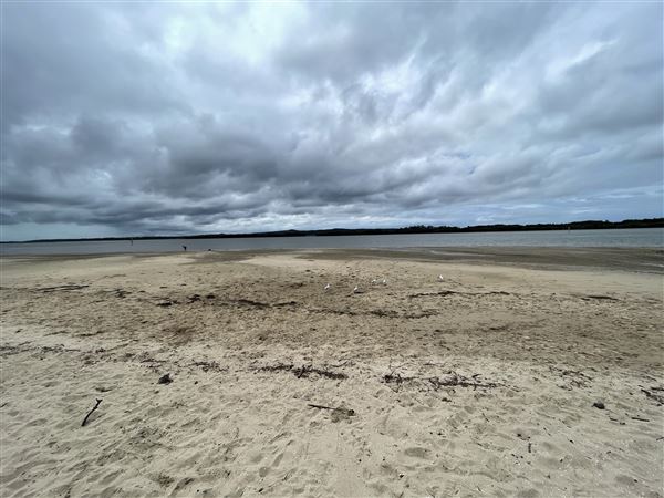 Cabbage Tree Point (6/10/2022 - Credits: Dugald McMasters)