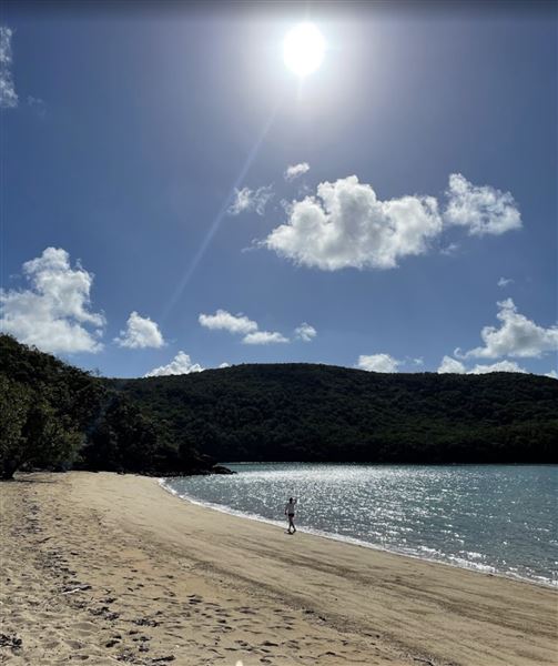 Hamilton Island - Coral Cove (8/11/2022 - Credits: Unknown)