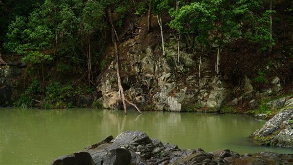 Currumbin Rock Pools (8/07/2019)