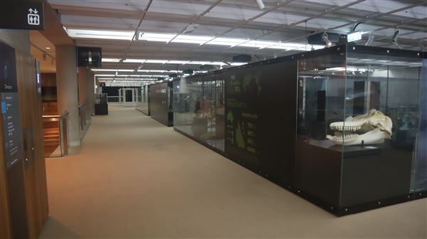 Queensland Museum - Interior (5/12/2022 - Credits: Brendan O'Sullivan)