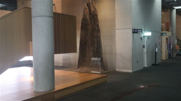 Queensland Museum - Interior (5/12/2022 - Credits: Brendan O'Sullivan)