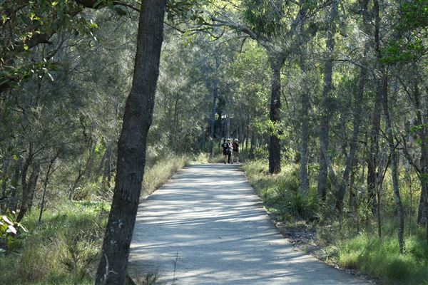 Epapah Creek - Karl's Pier track (8/05/2023 - Credits: Screen Queensland)