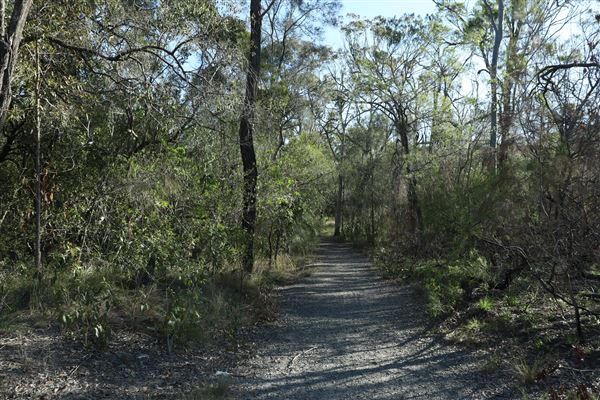 Epapah Creek - Karl's Pier track (8/05/2023 - Credits: Screen Queensland)