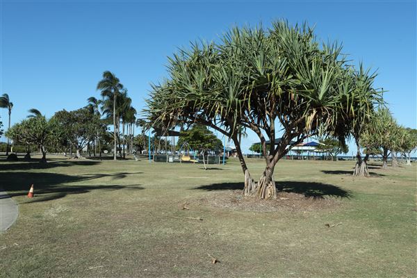 Pelican Park (11/05/2023 - Credits: Screen Queensland)