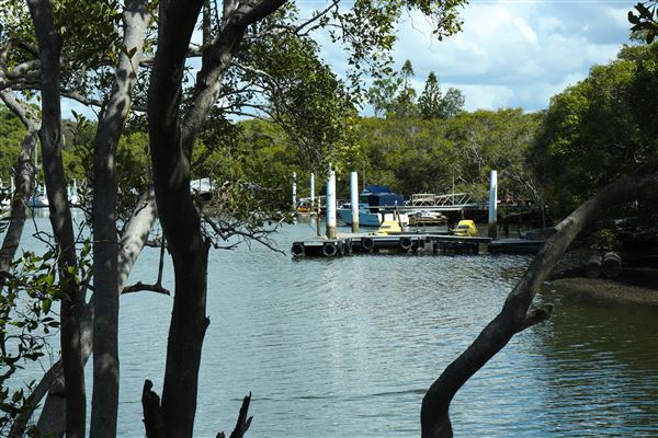 Curlew Park - Cabbage Tree Creek (11/05/2023 - Credits: Screen Queensland)
