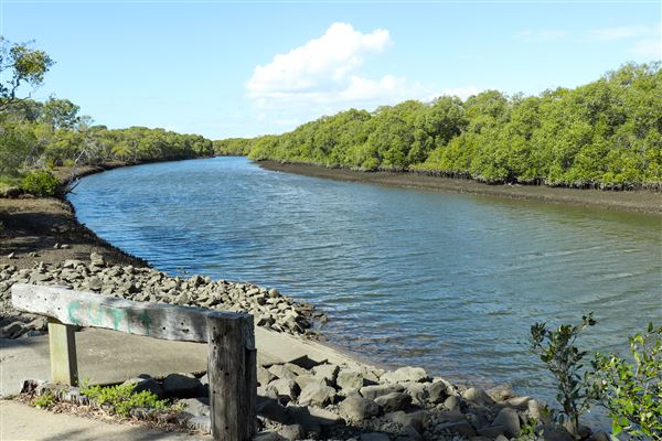 Nudgee Beach Wetlands Reserve (11/05/2023 - Credits: Screen Queensland)