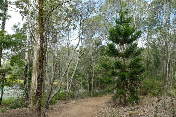 Enoggera Reservoir (12/05/2023 - Credits: Screen Queensland)