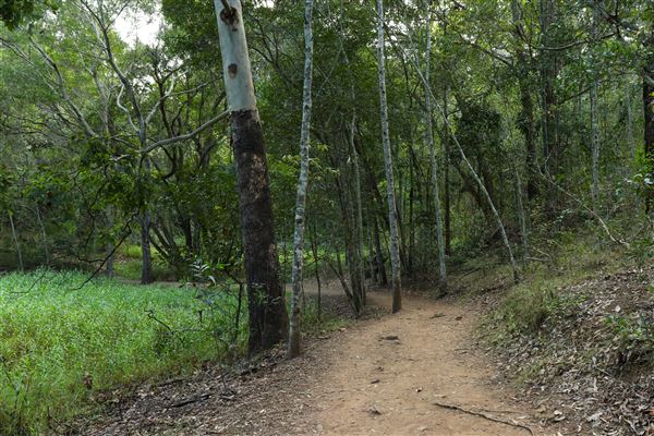 Enoggera Reservoir (12/05/2023 - Credits: Screen Queensland)