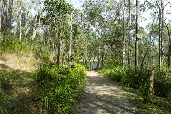 Enoggera Reservoir (12/05/2023 - Credits: Screen Queensland)