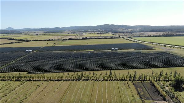 Sunshine Coast Solar Farm (1/07/2023)
