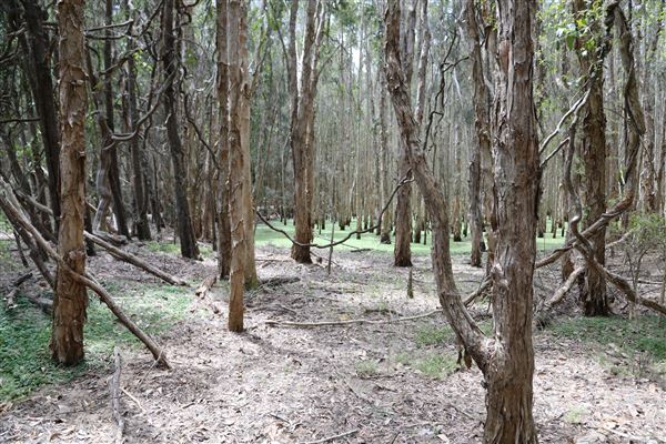 Gold Coast - Coombabah Lakelands (16/11/2022 - Credits: Duncan Jones)