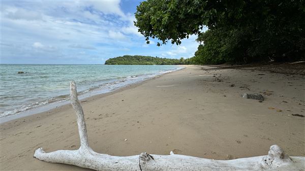 Garners Beach (26/11/2023 - Credits: Karen Jones / Tom Hoffie)