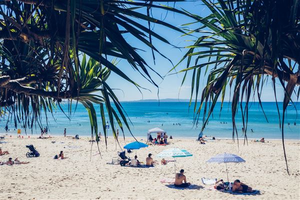Noosa Beach - Little Cove (27/02/2025 - Credits: Andrew Maccoll)