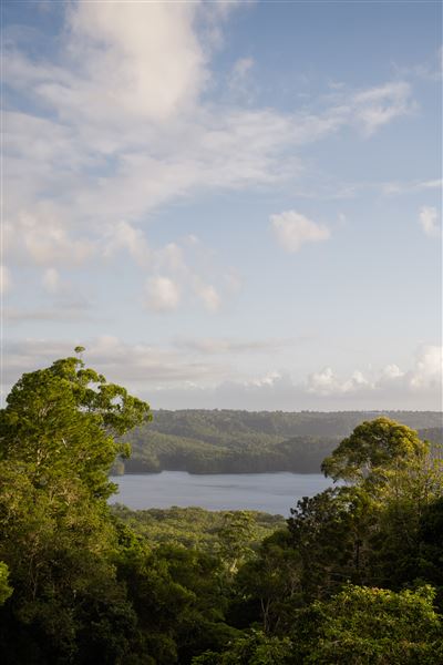 Montville - Misty View Cottages (12/03/2025)