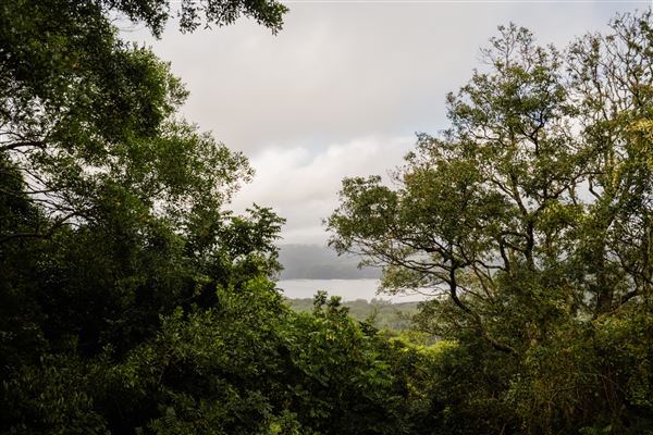 Montville - Misty View Cottages (12/03/2025)