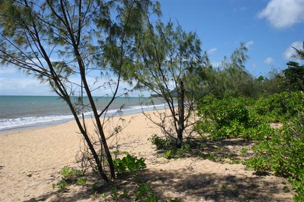 Cairns Region - Bramston Beach (24/07/2012)